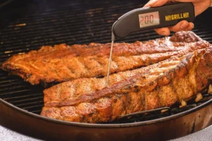 Best Meat Thermometer