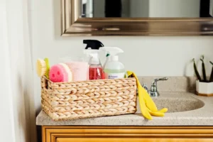 bathroom cleaning apartment therapy