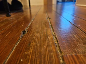 how to clean old wood floors